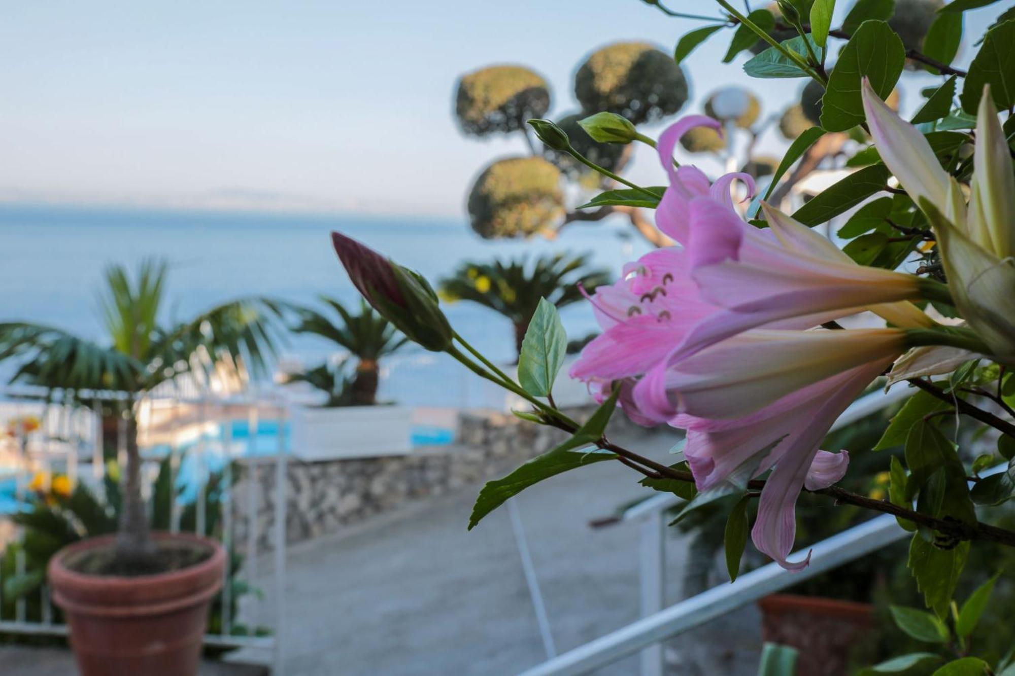 Hotel Villa Lubrense Sorrento Massa Lubrense Zewnętrze zdjęcie